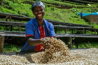 Rwanda Macuba Washed