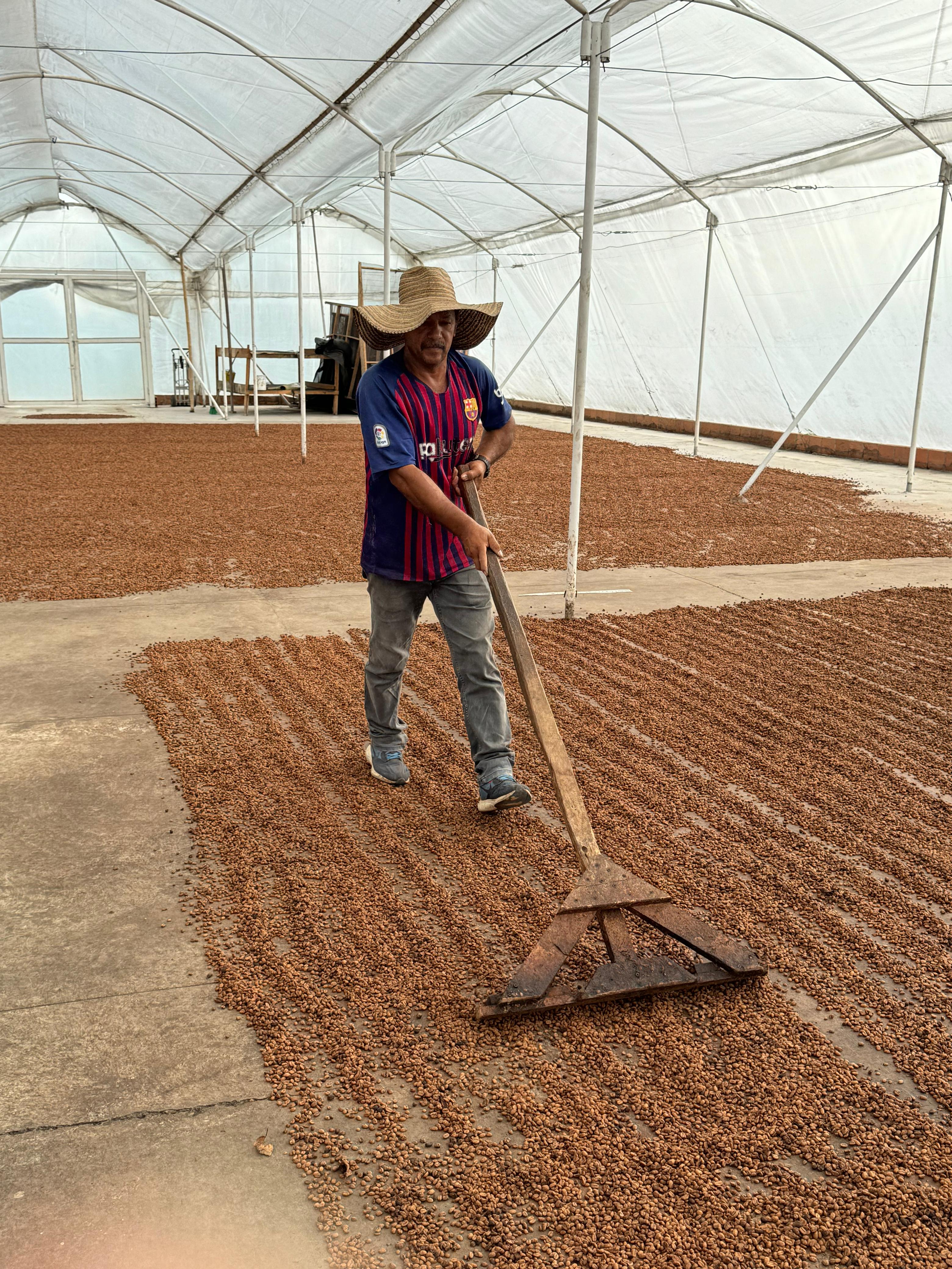 Colombia Campo Hermoso Sidra CM Washed