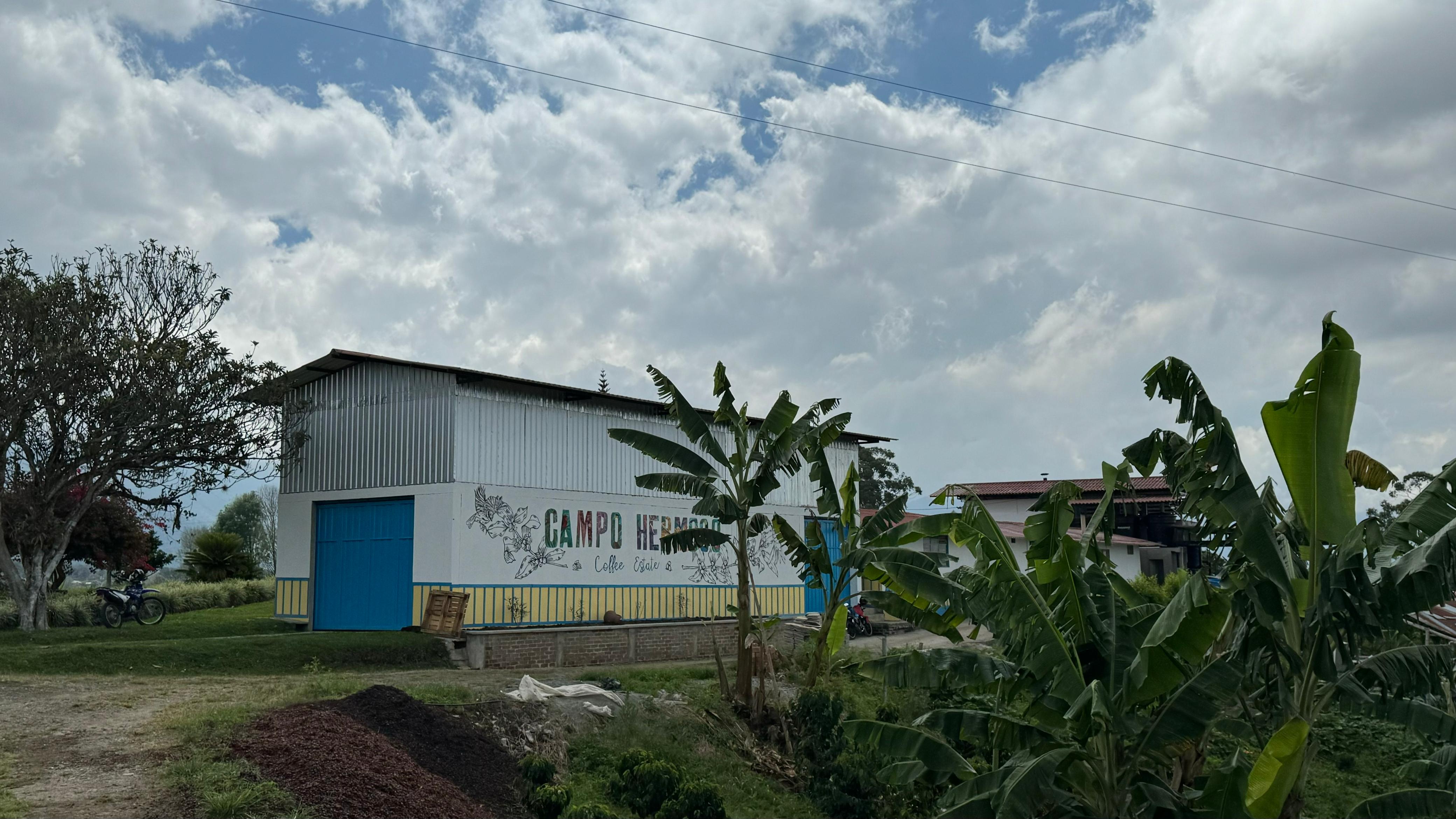 Colombia Campo Hermoso "Cherry Madness"