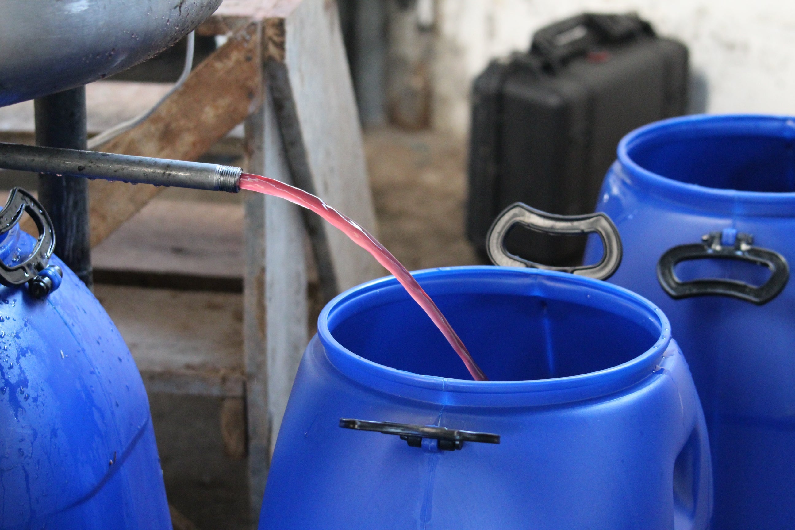 Colombia El Vergel "Magnum Sidra"