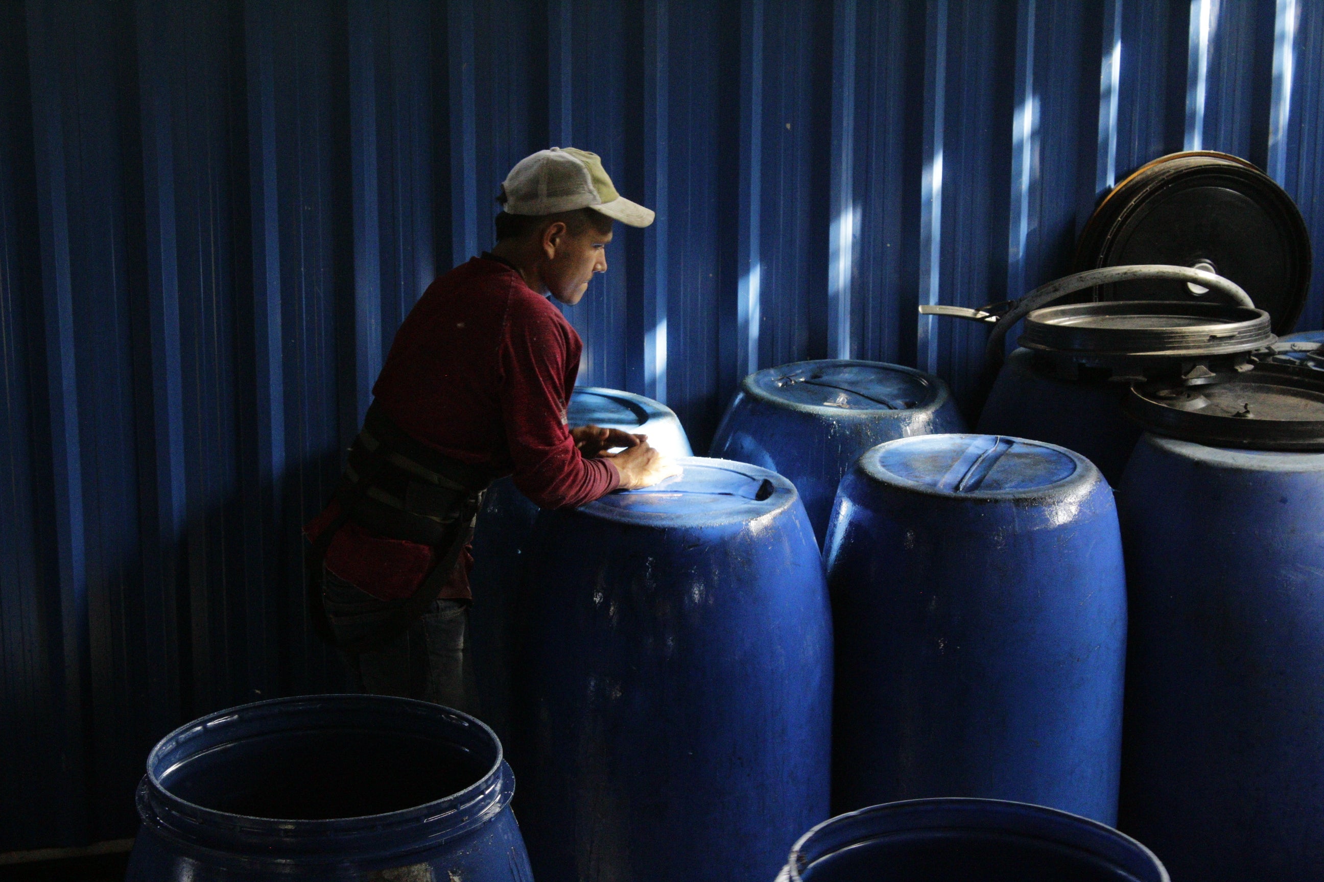 Colombia El Vergel "Pink Borbon Punch"
