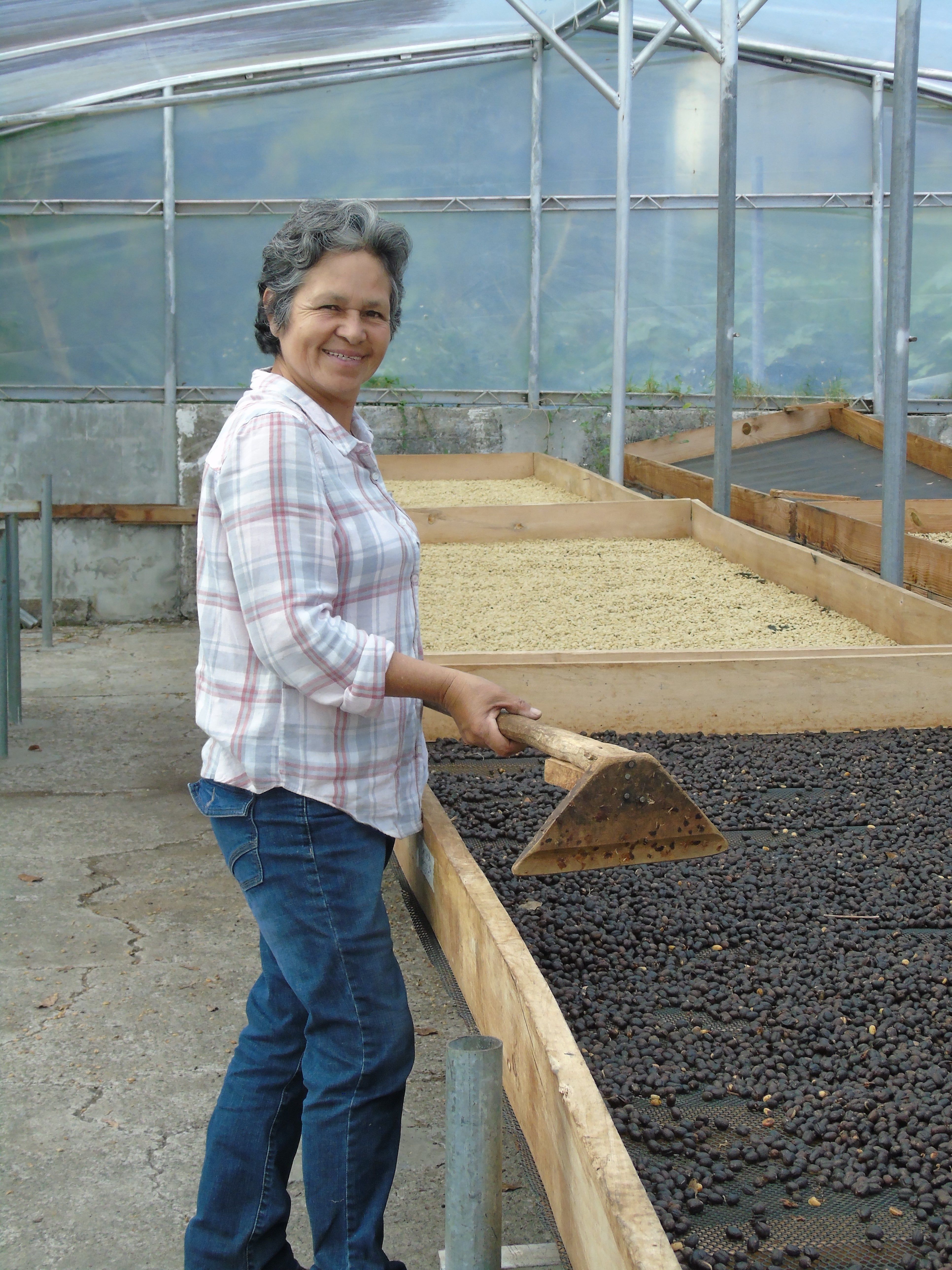 Panama Dona Tere Geisha Natural