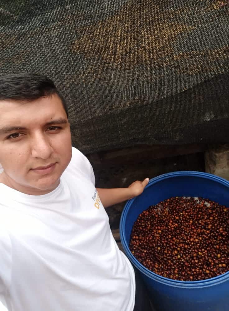 Colombia El Diviso Sidra