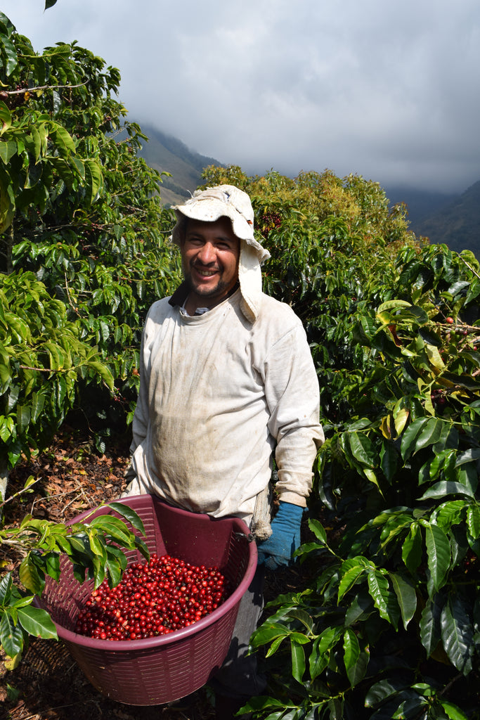 Costa Rica Don Claudio Natural Filter Passport Specialty Coffee Roaster