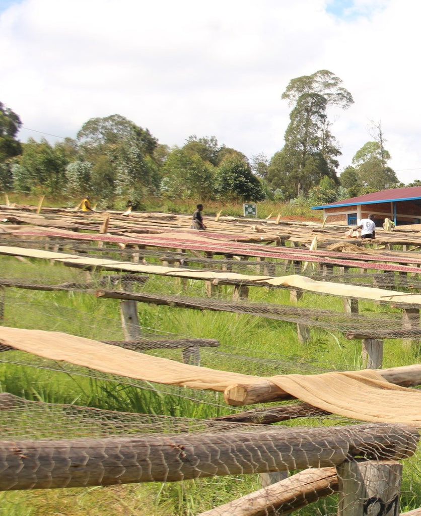 Burundi Masha Gatara Filter packshot