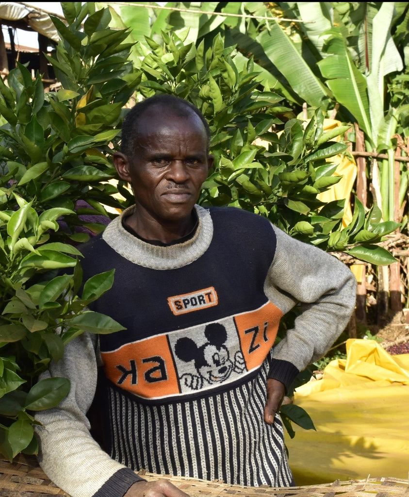 Ethiopia Atara Gedecho Filter