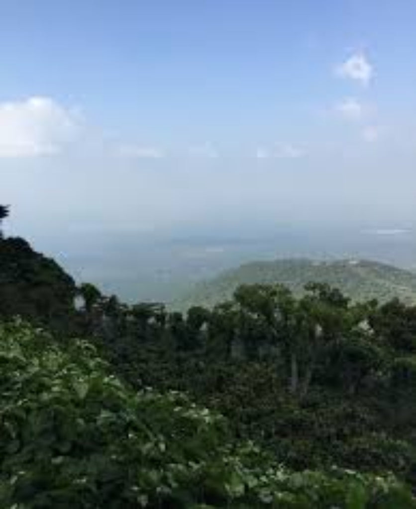 El Salvador San Joaquin Espresso