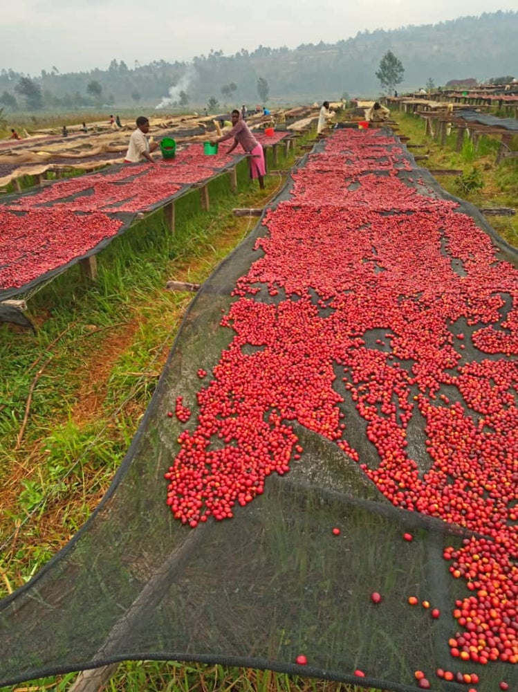 Burundi Rimiro Natural