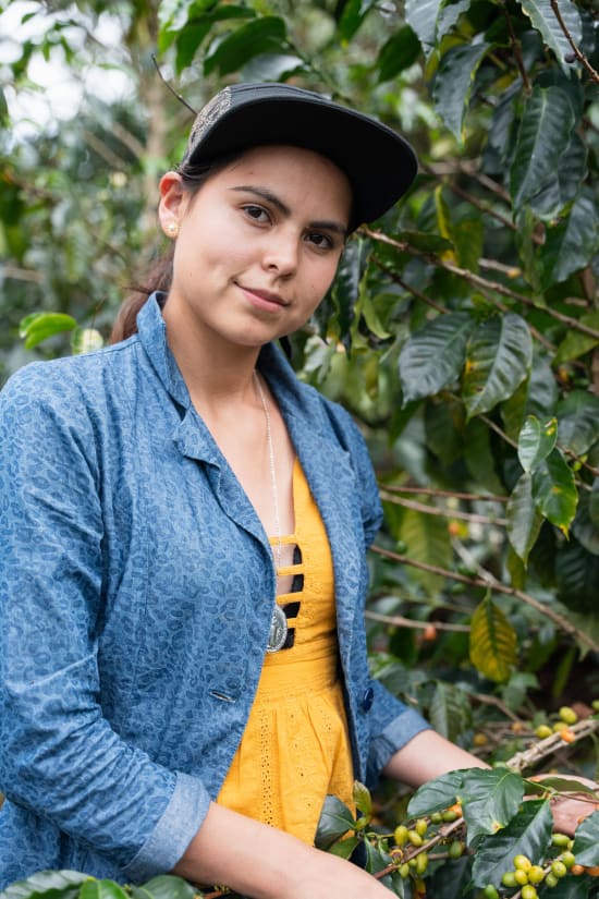 Colombia Alta Gracia Geisha Natural