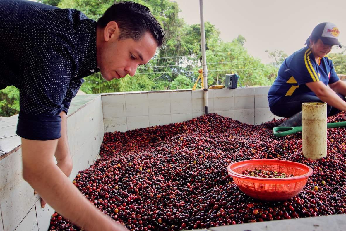 Colombia El Diviso Ombligon DECAF