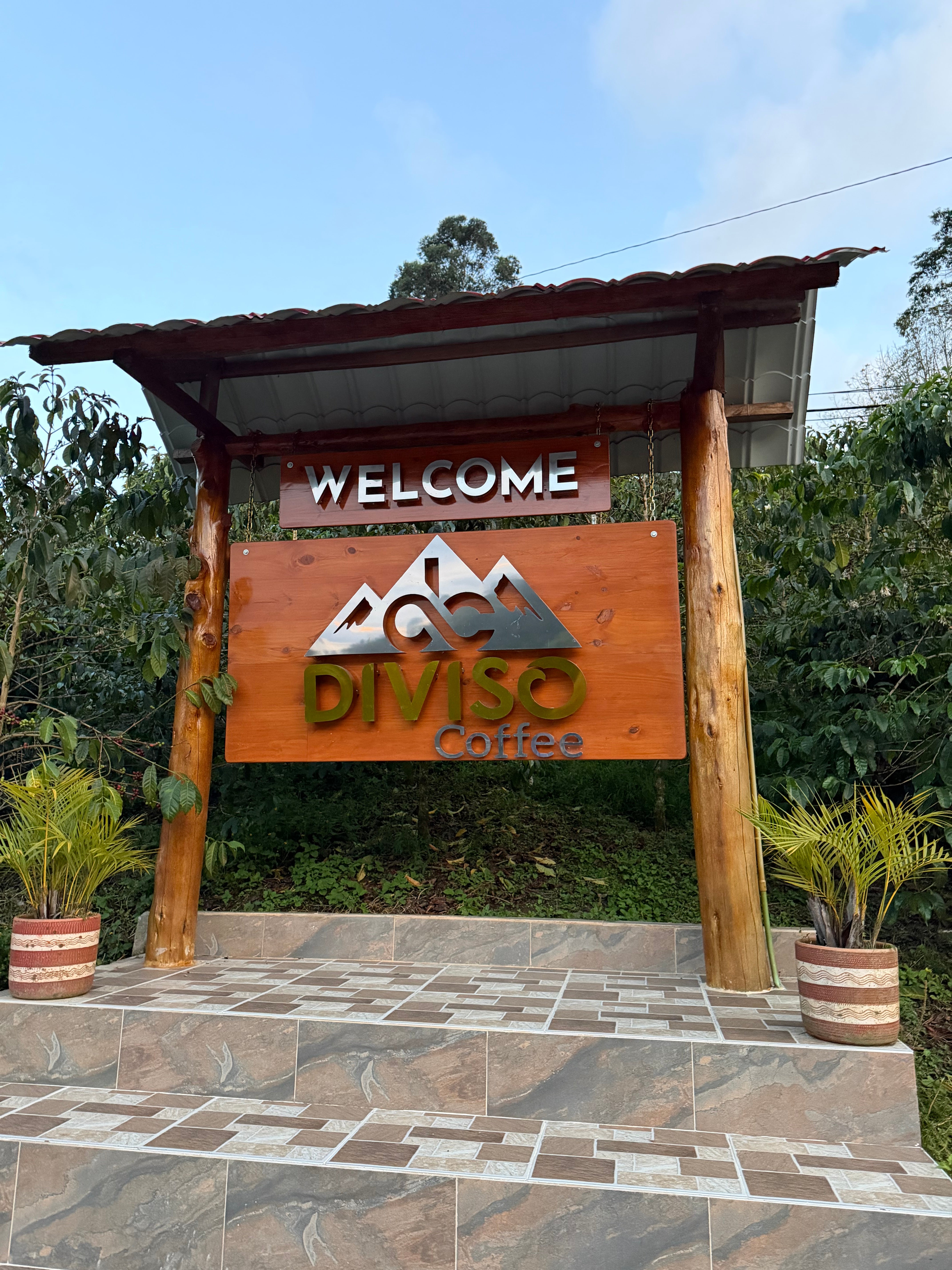 Colombia El Diviso Sidra Thermal Shock Anaerobic Washed