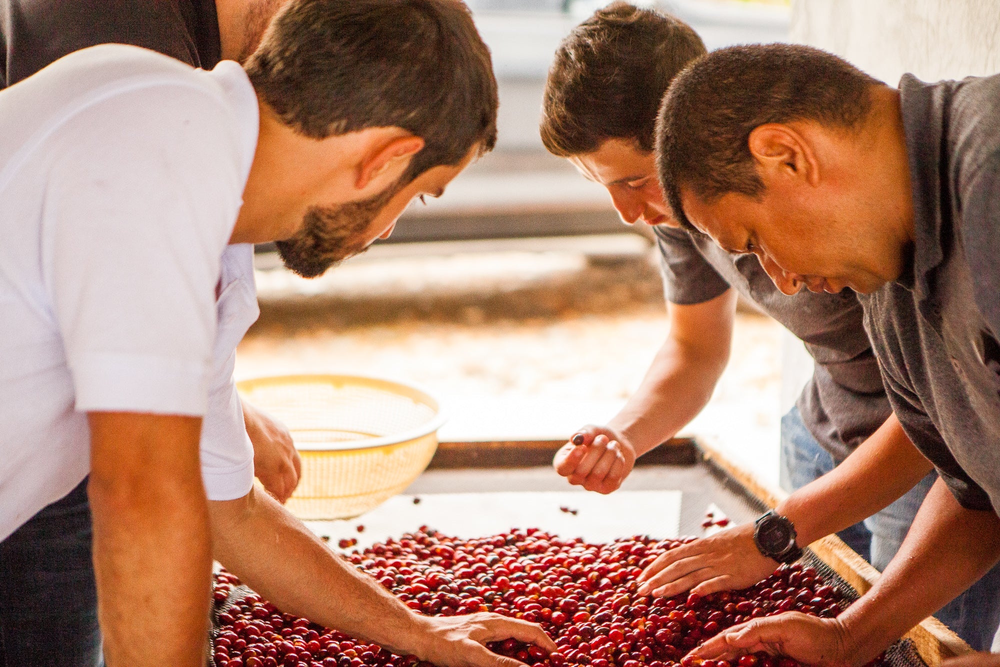 Colombia El Vergel Anaerobic Natural EA Decaf