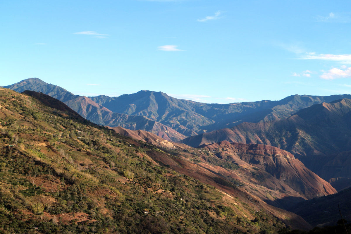 Colombia Tablón de Gómez "Honey Mountain"