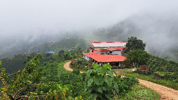 Colombia Las Flores Ombligon Anaerobic Thermal Shock