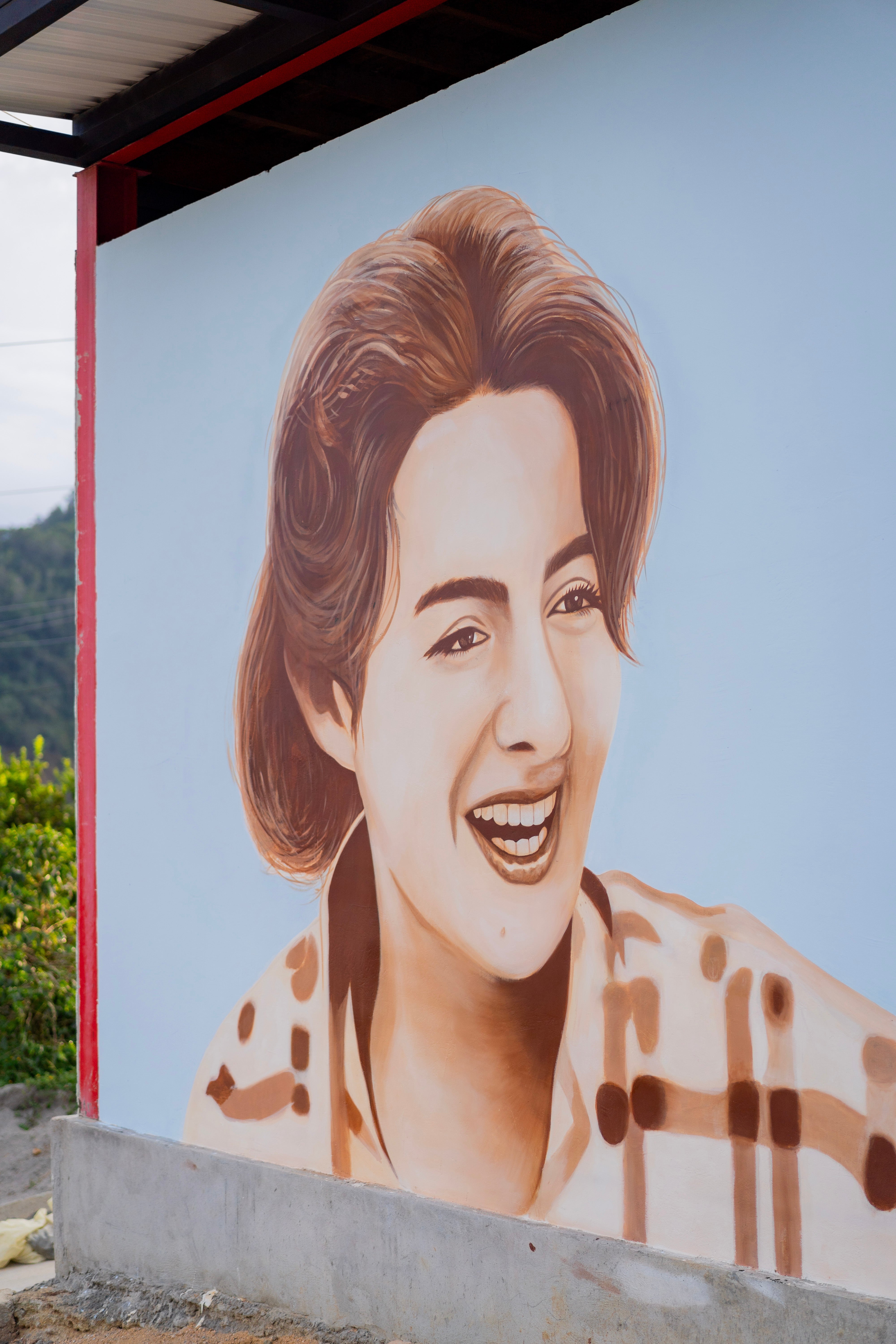 Colombia Penas Blancas Pink Bourbon Anaerobic SWP DECAF