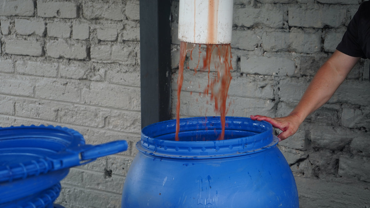 Colombia Campo Hermoso White Honey Mossto Lactic Geisha