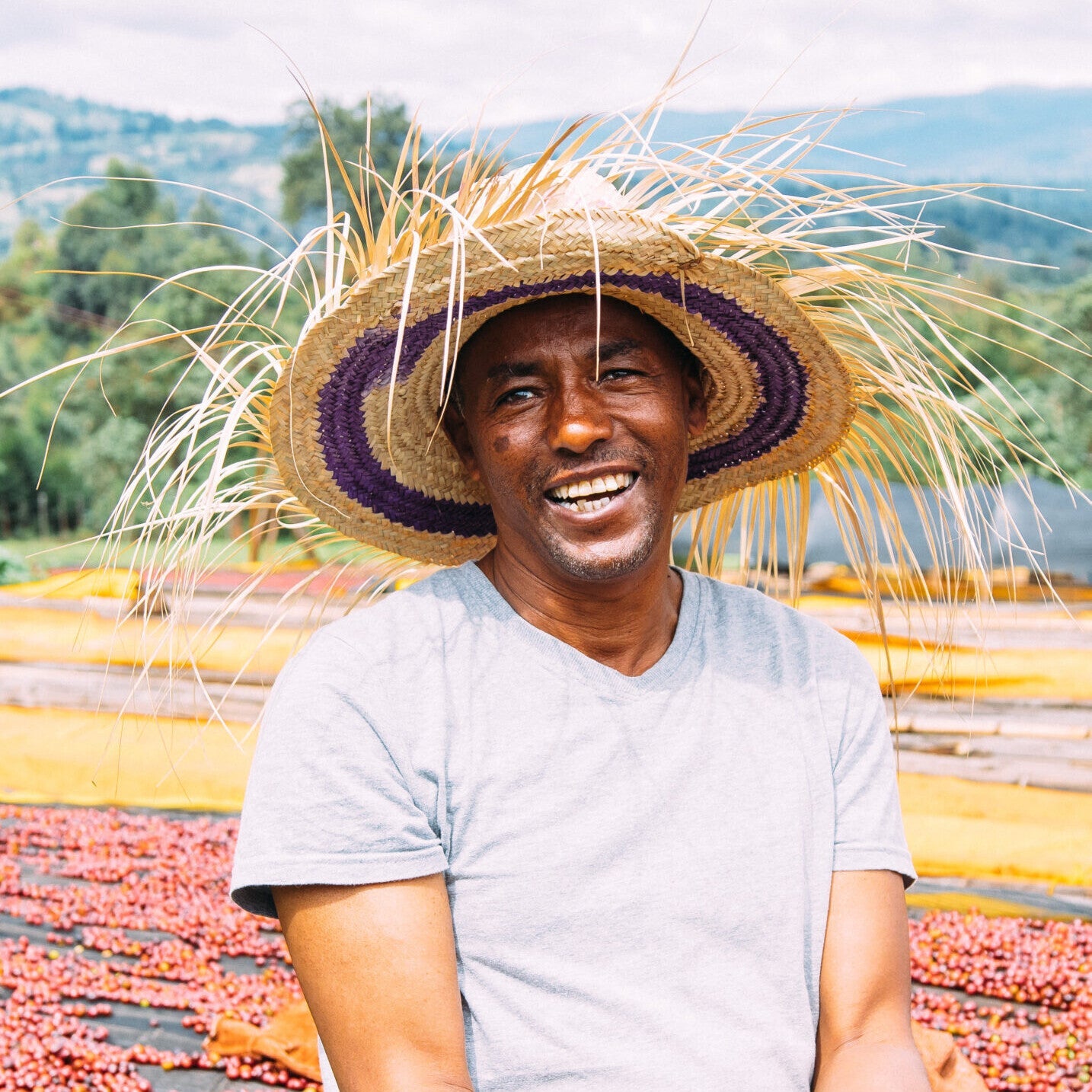 Ethiopia Suke Quto Natural SWP DECAF