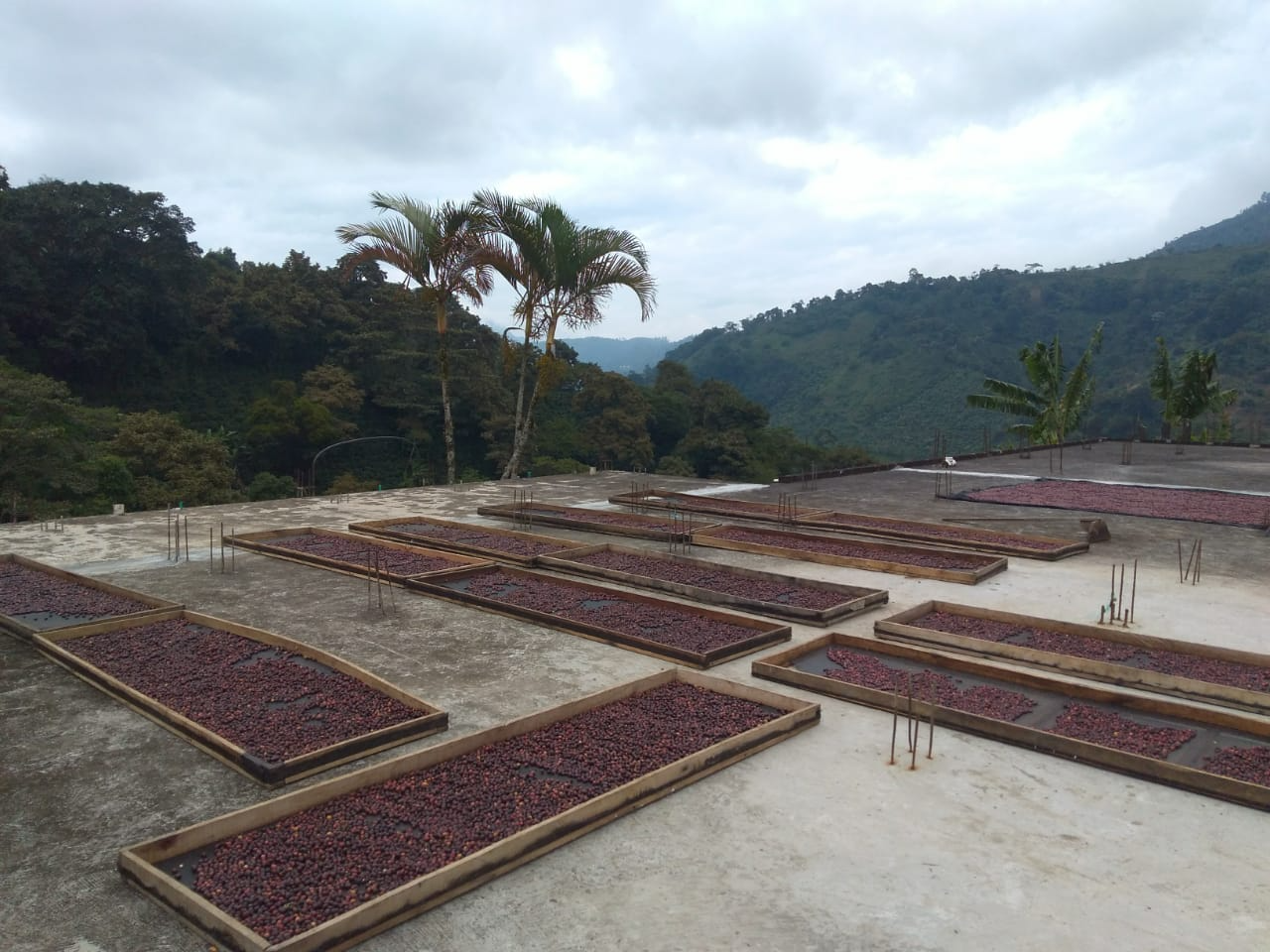 Colombia Finca Jardines Del Eden Natural