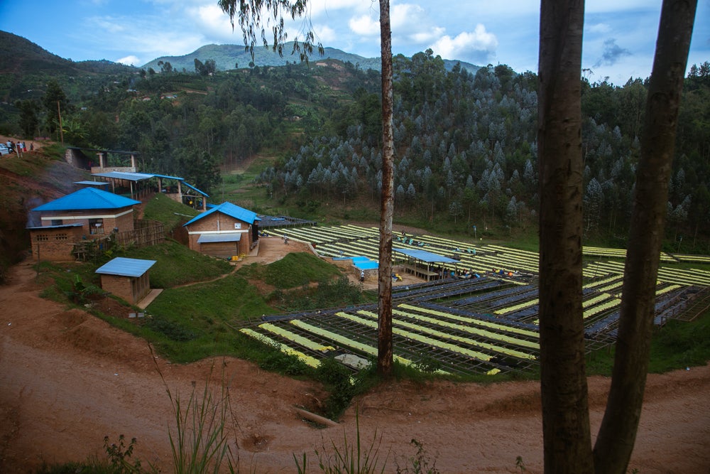 Rwanda Karambi Natural