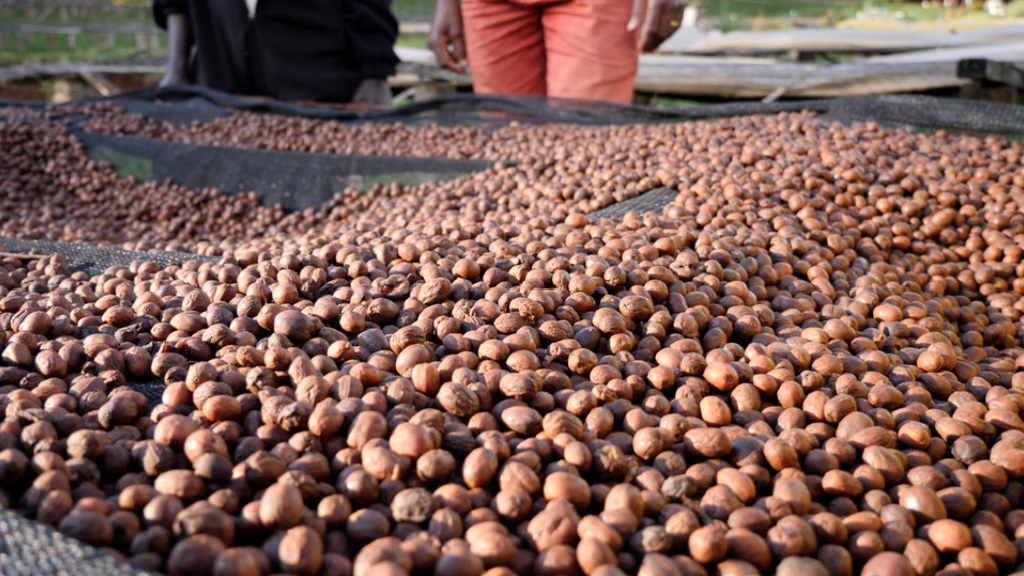Burundi Nemba Intenso Yeast Natural ESPRESSO packshot