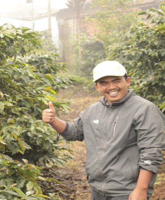 Indonesia Gunung Tujuh Anaerobic Honey     Espresso